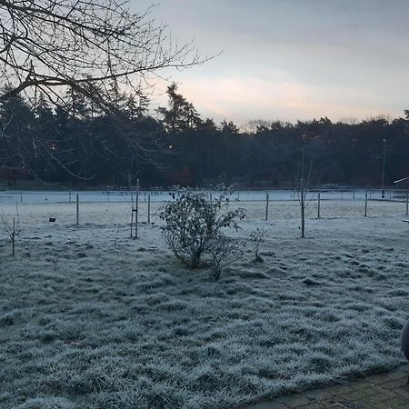 Natuurslaapkamer De Zaadeest Boskamer Lomm Екстер'єр фото